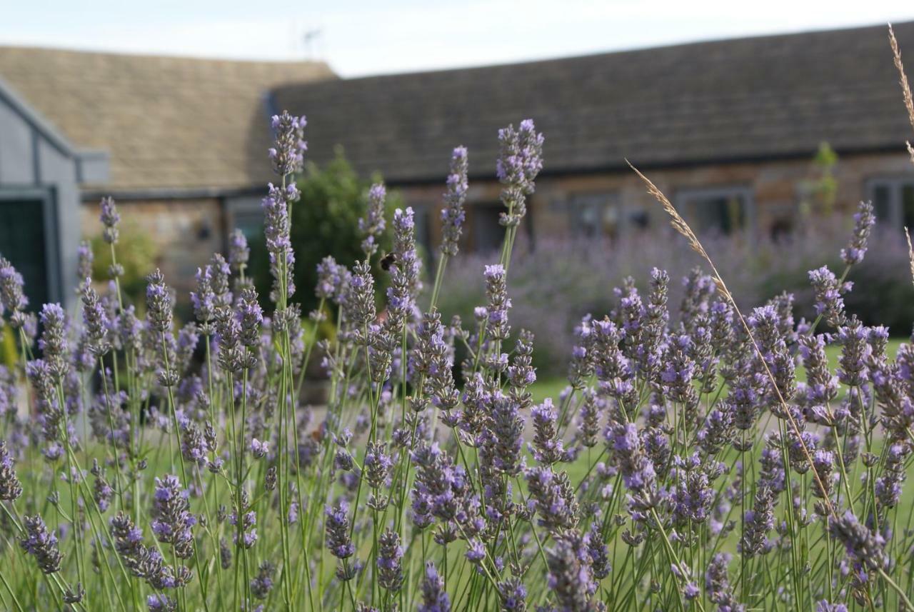 Willa Harrogate Barns Zewnętrze zdjęcie